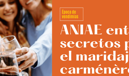 ANIAE entrega sus secretos para elegir el maridaje con carménère