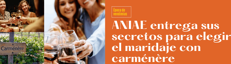 ANIAE entrega sus secretos para elegir el maridaje con carménère