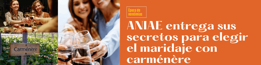 ANIAE entrega sus secretos para elegir el maridaje con carménère