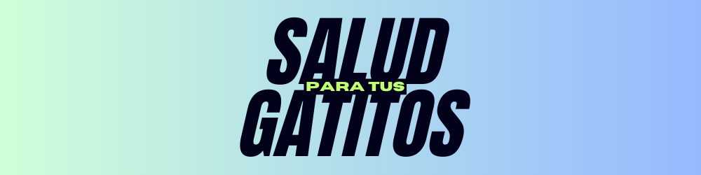 Salud para tus gatitos